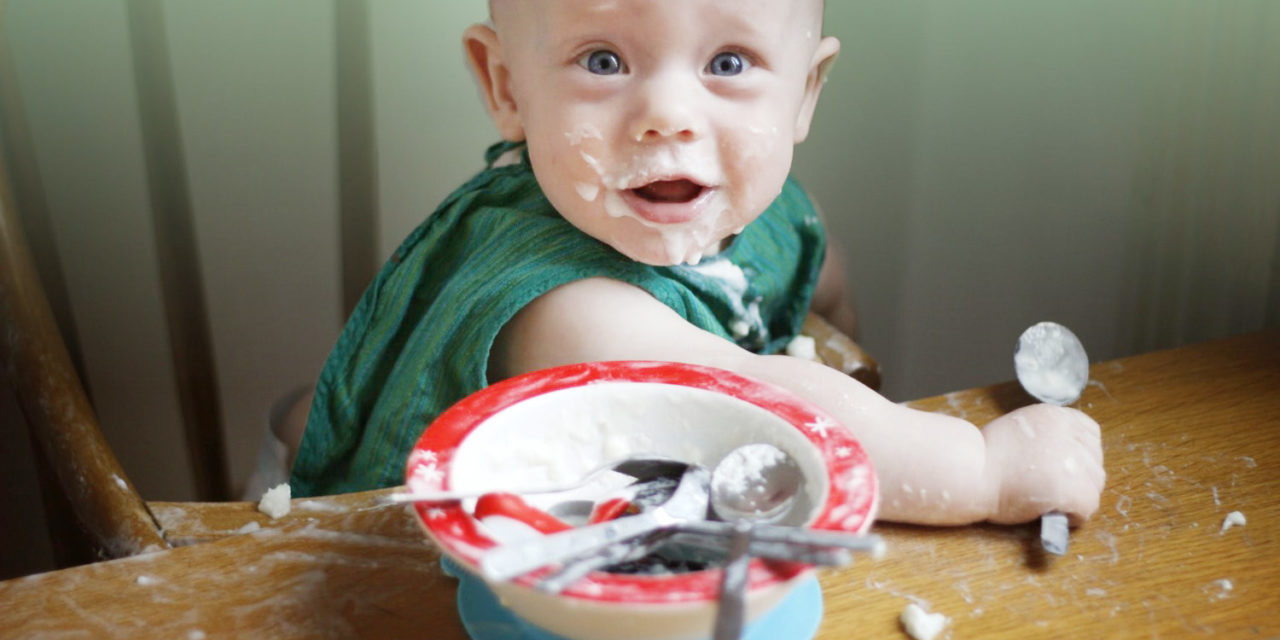 What is baby led weaning